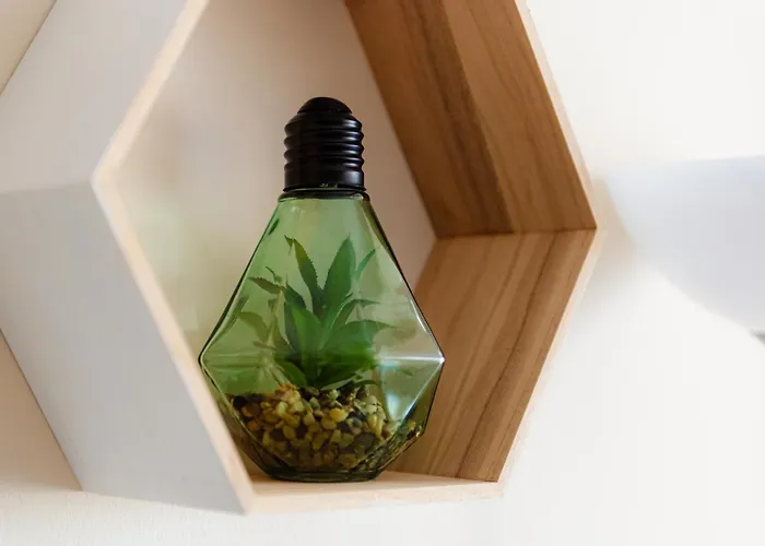 Daire @ Arena Nationala Stadium